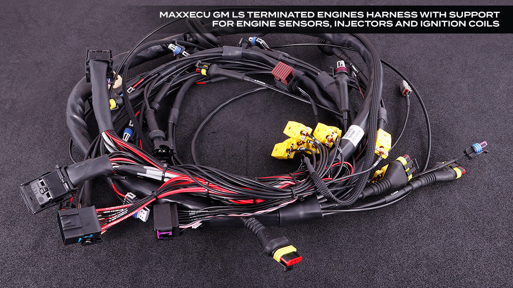 Maxx ECU PRO with Terminated LS Harness & PNP 4L80e Harness