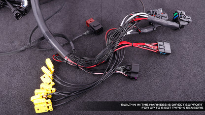 Maxx ECU Race with Terminated LS Harness