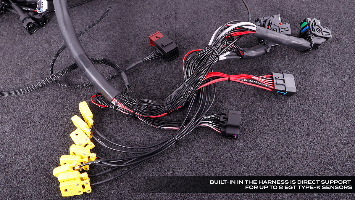 Maxx ECU Race with Terminated LS Harness & PNP 4L80e Harness